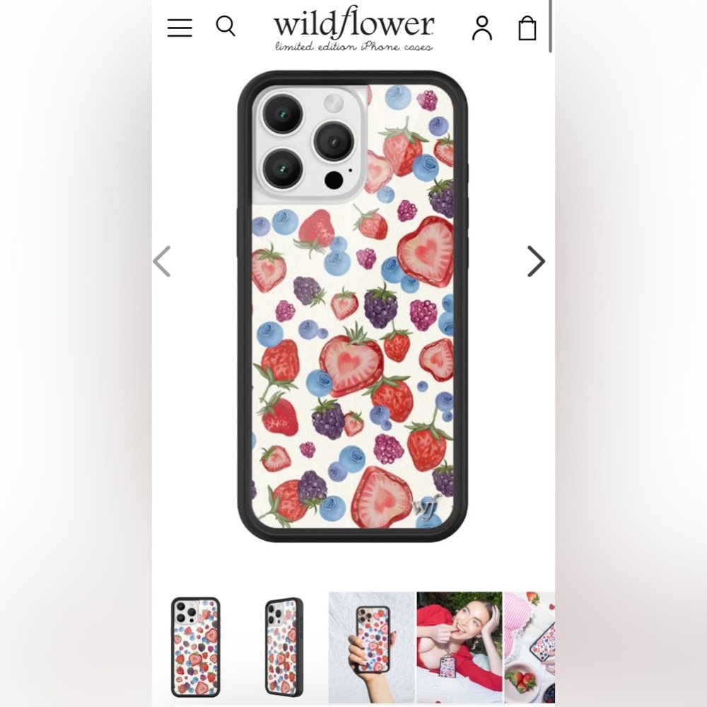 Wildflower Fruit Tart iPhone 16 Pro Case